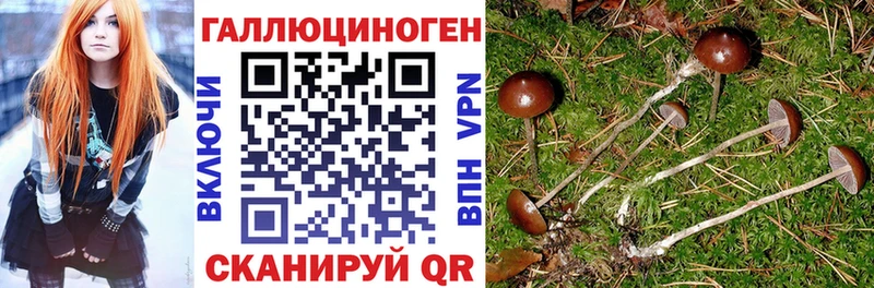 Псилоцибиновые грибы GOLDEN TEACHER  Ишим 