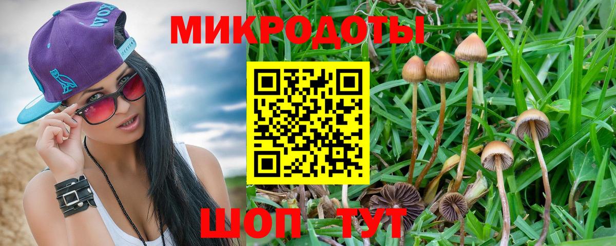 Псилоцибиновые грибы мицелий  Вход с VPN  Ишим 